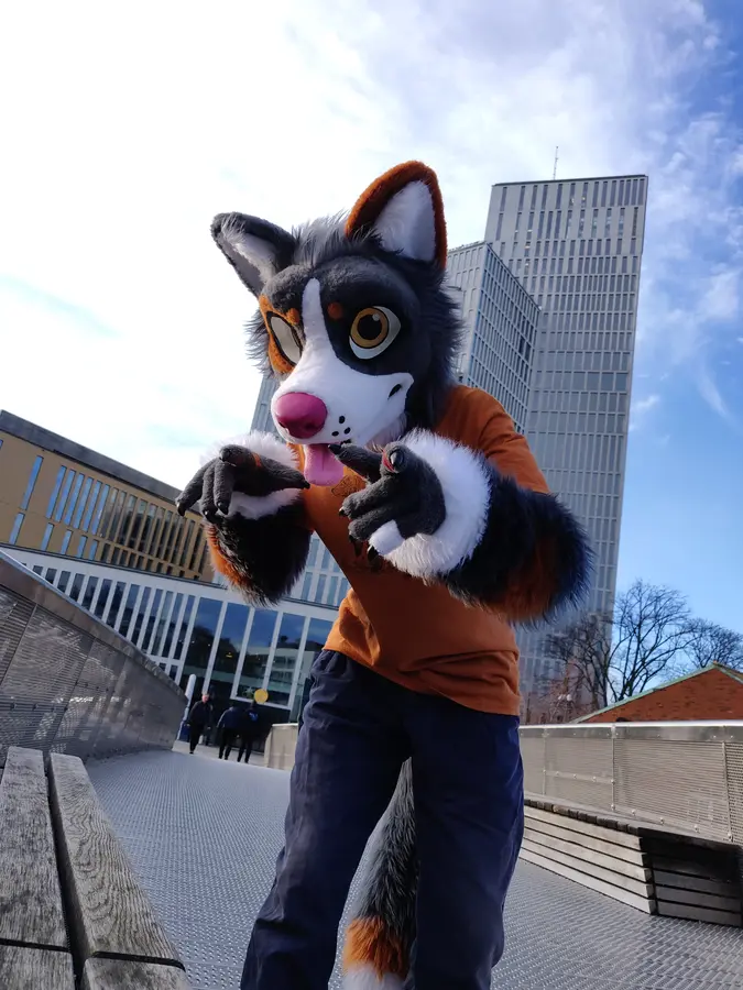NordicFuzzCon Press Kit Photo