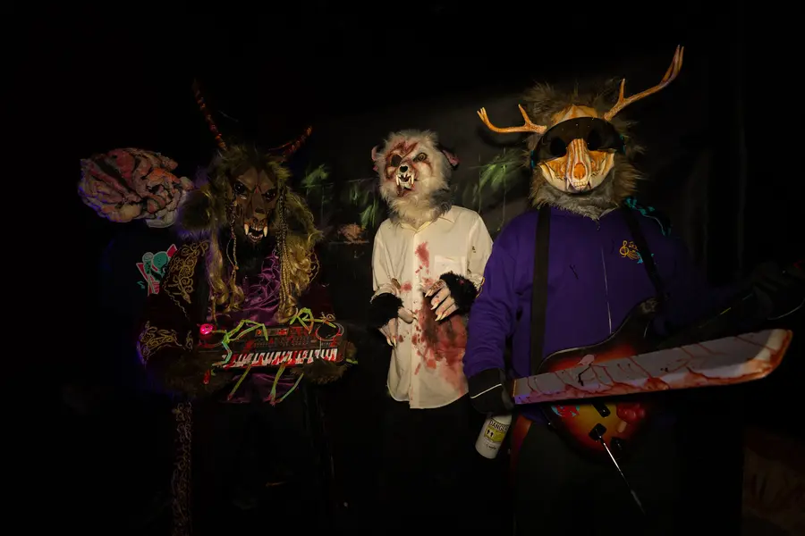 NordicFuzzCon Press Kit Photo