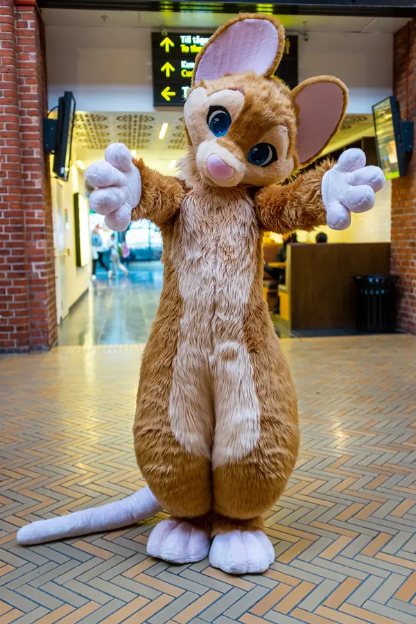 NordicFuzzCon Press Kit Photo