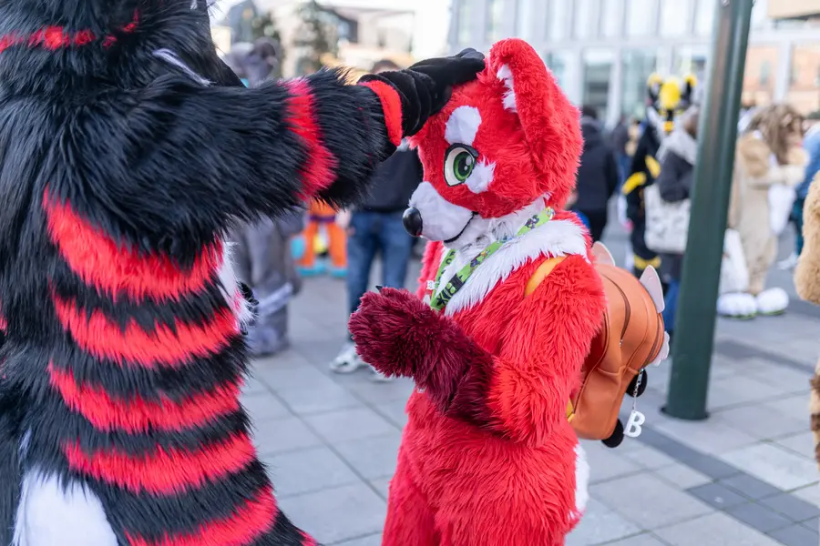 NordicFuzzCon Press Kit Photo