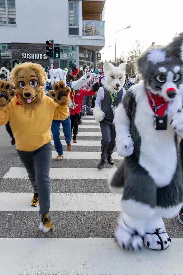 NordicFuzzCon Press Kit Photo