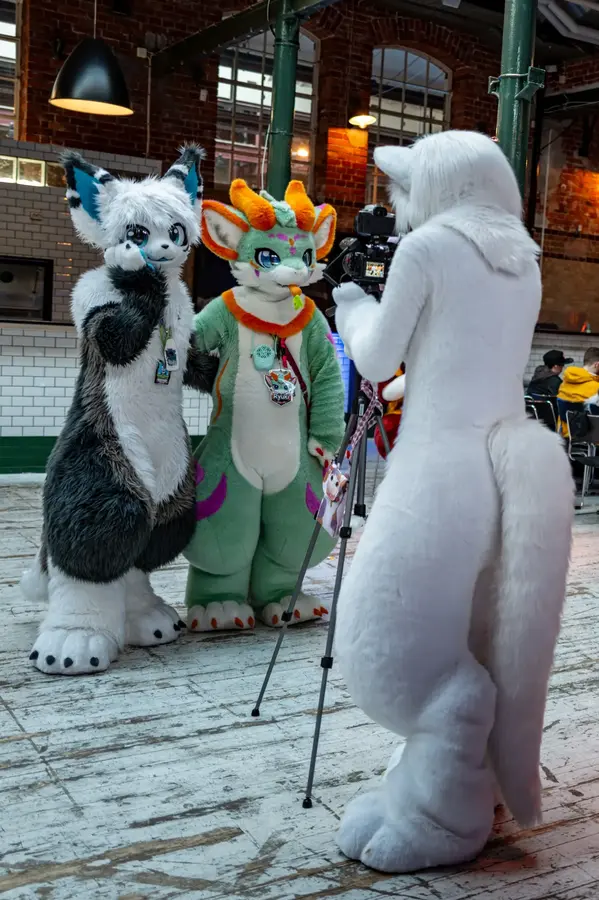 NordicFuzzCon Press Kit Photo
