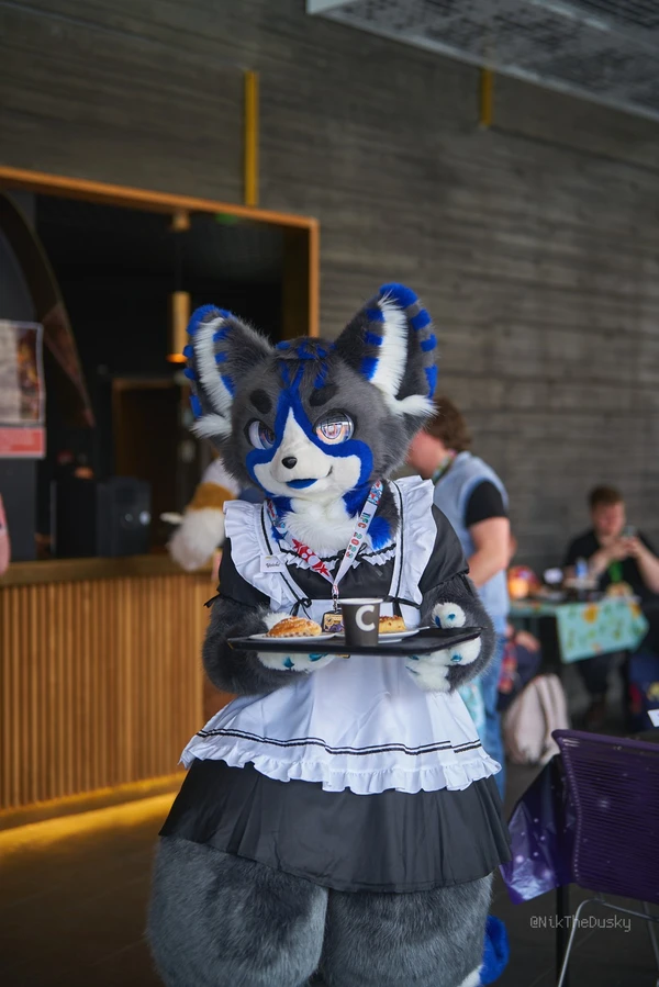 Maid Café Photo