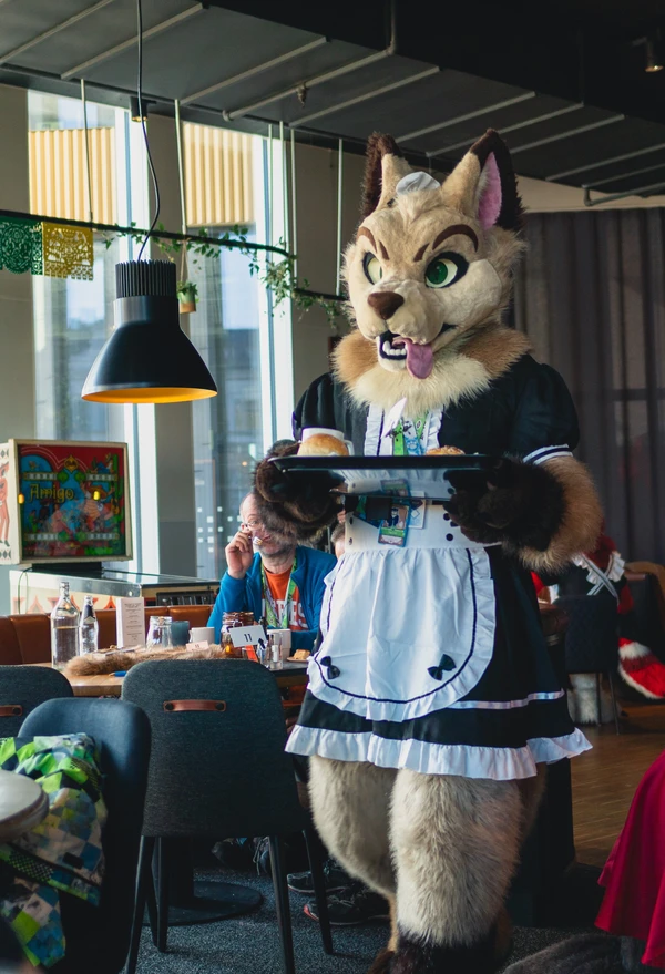 Maid Café Photo